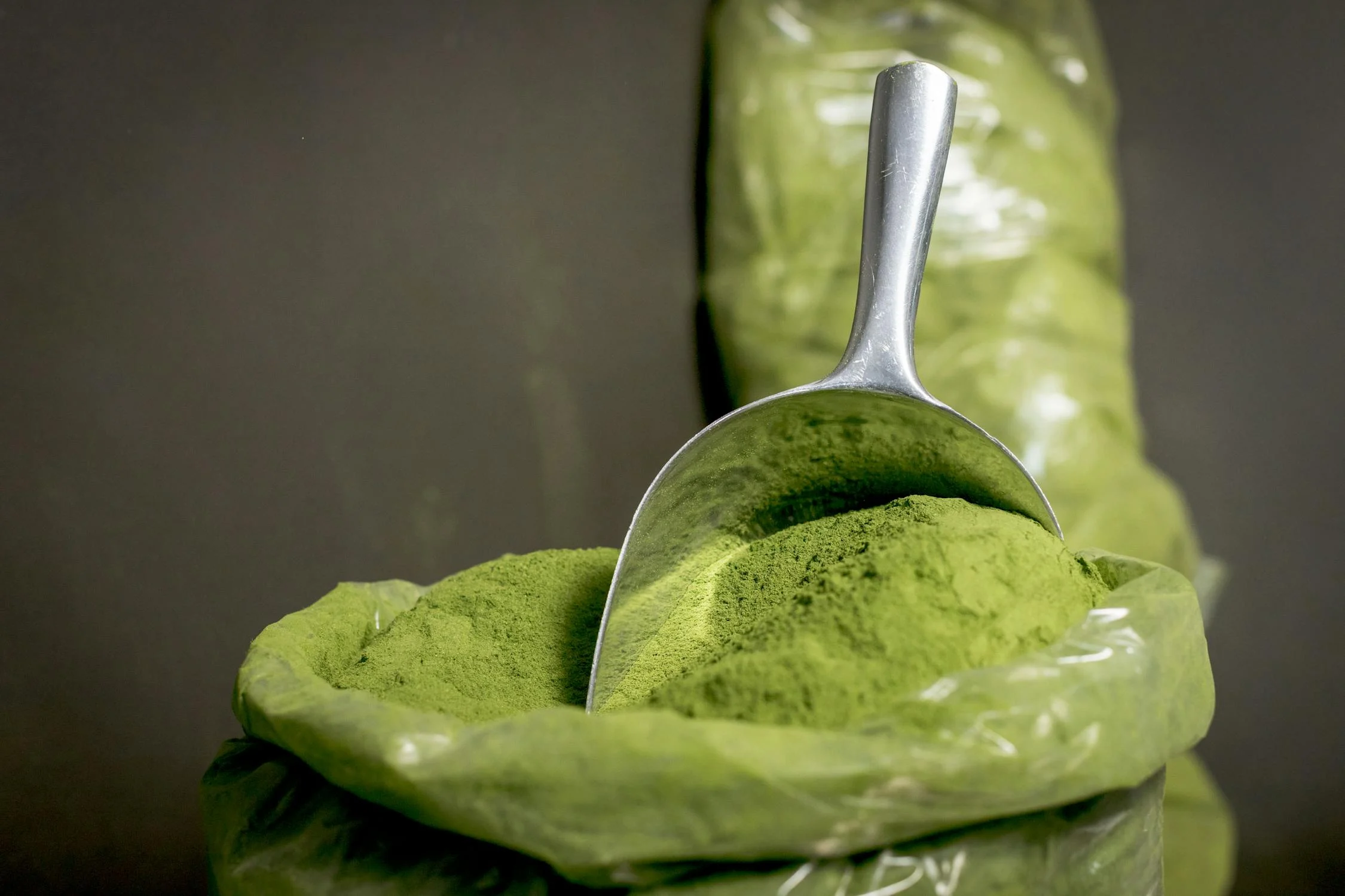 Read more about the article Why Moringa (Drumstick) Is a Hormone-Balancing Superfood for PCOS and Fertility